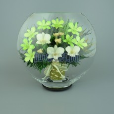 FIORA Арт: 33117(ELOoz) цветы в стекле